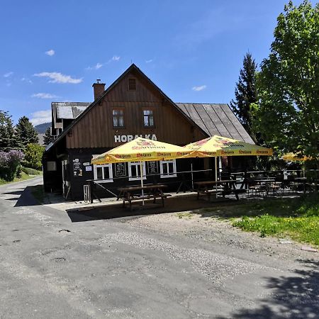 Pension Horalka 206 Rokytnice nad Jizerou Exterior photo